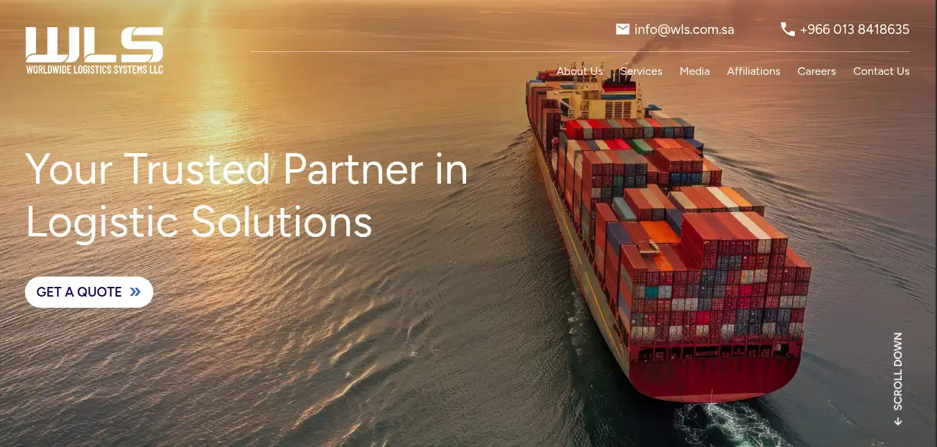 Custom website and digital assets for WLS by Dawmad